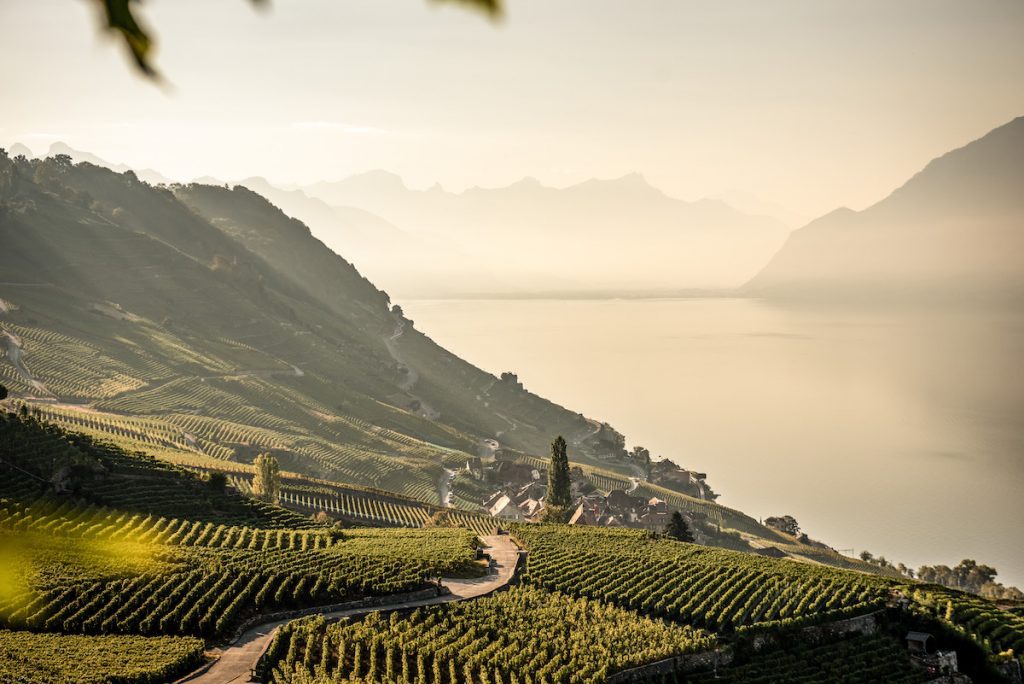 Bio-Weinbauer Blaise Duboux gehoert zur Bruderschaft Confrerie des Vignerons, die alle 20 Jahre das Fete de Vignerons in Vevey organisieren. Hier beim Ausblick ueber die Weinberge des Lavaux.

Organic winemaker Blaise Duboux is a member of the Confrerie des Vignerons fraternity that organizes the Fete de Vignerons in Vevey every 20 years. Here at the view over the vineyards of the Lavaux.

Copyright by: Switzerland Tourism - By-Line: swiss-image.ch/Andre Meier