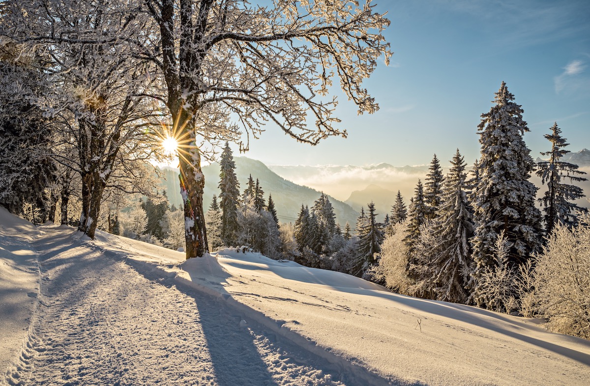 Travel Guide to Mt. Rigi - Mt. Rigi Excursion in Switzerland